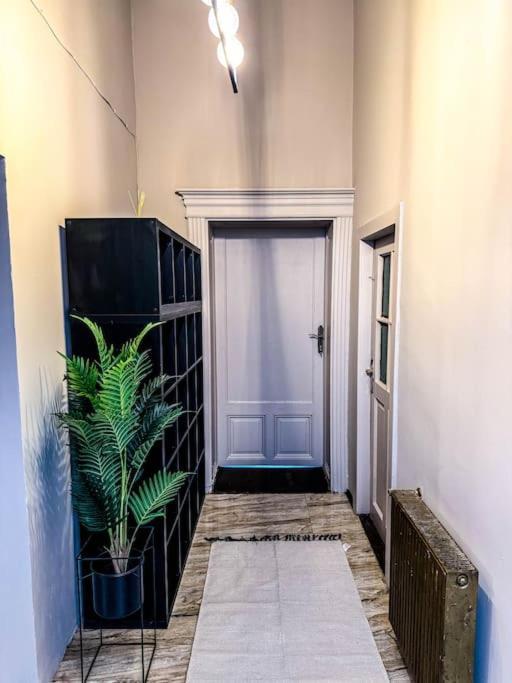 Apartmán Cozy & Charming Apt. Downtown Temešvár Exteriér fotografie