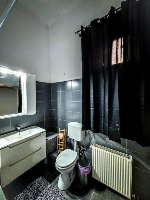 Apartmán Cozy & Charming Apt. Downtown Temešvár Exteriér fotografie